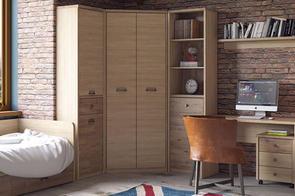 Фото Шкаф 2D1S/D1 Дизель (Diesel) от производителя Анрэкс в Гурзуф по цене 16 500 ₽